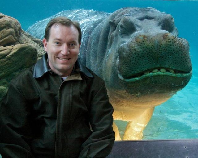 記念撮影好きな動物の写真