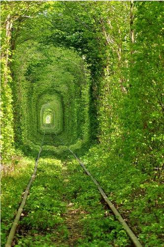 一生に1度は見ておきたい絶景の写真