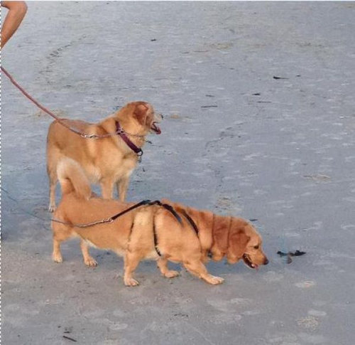 パノラマ撮影に失敗した写真