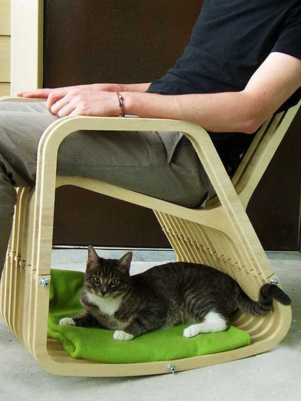 猫のために設計されたインテリアや小物が可愛い写真