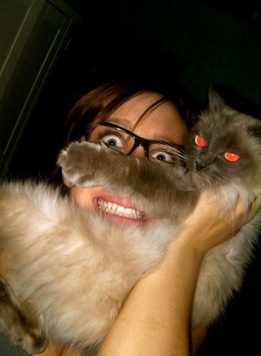 かわいい愛猫を「ヒゲ」にして遊ぶ人々の写真