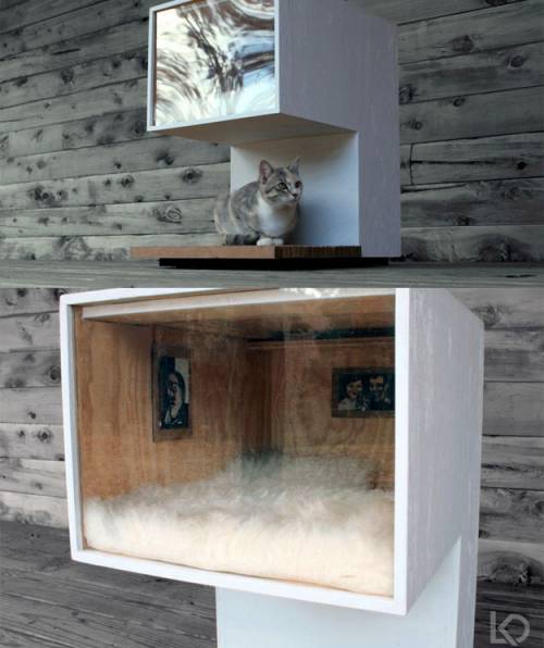 可愛い家の中にある猫の家