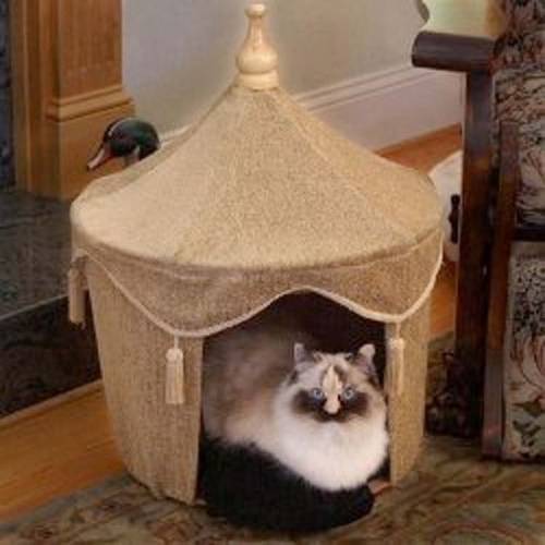 可愛い家の中にある猫の家