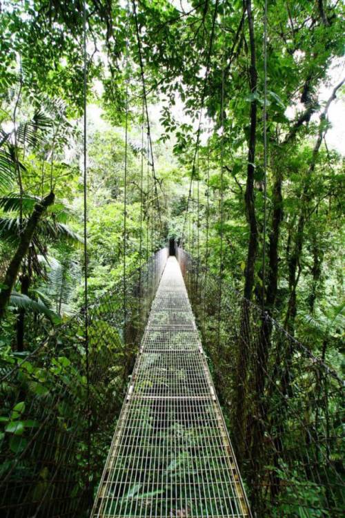 世界にある「吊り橋」