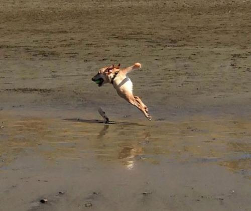 パノラマ撮影に失敗した写真