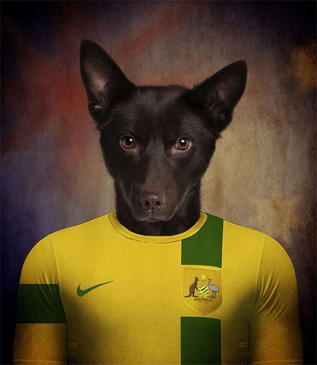 その国の犬に置き換えたポートレート写真