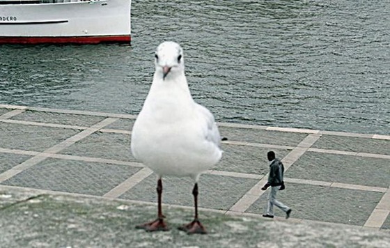 思わず2度見てしまう写真