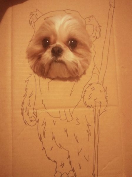 動物たちの可愛すぎる画像
