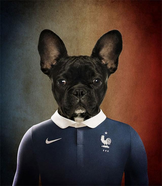 その国の犬に置き換えたポートレート写真