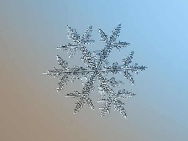 シンプルなDIYカメラキットでとらえた驚くべき雪の結晶