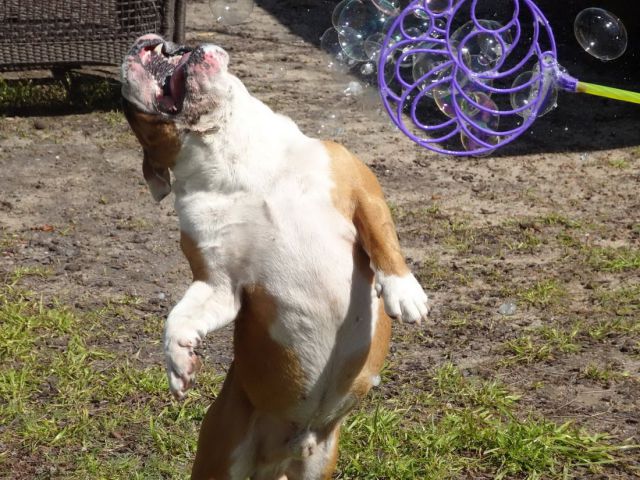 超可愛い動物たちに癒される写真