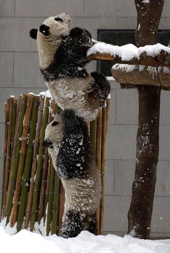 みんなのチームワークに関心する写真