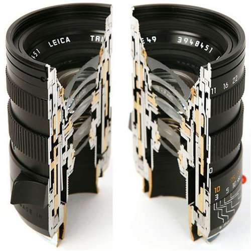 いろんなものを真っ二つに切った断面写真