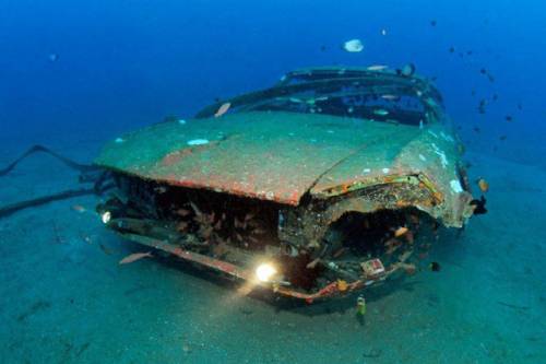 車が海に沈んでしばらくして魚の住まいになった写真