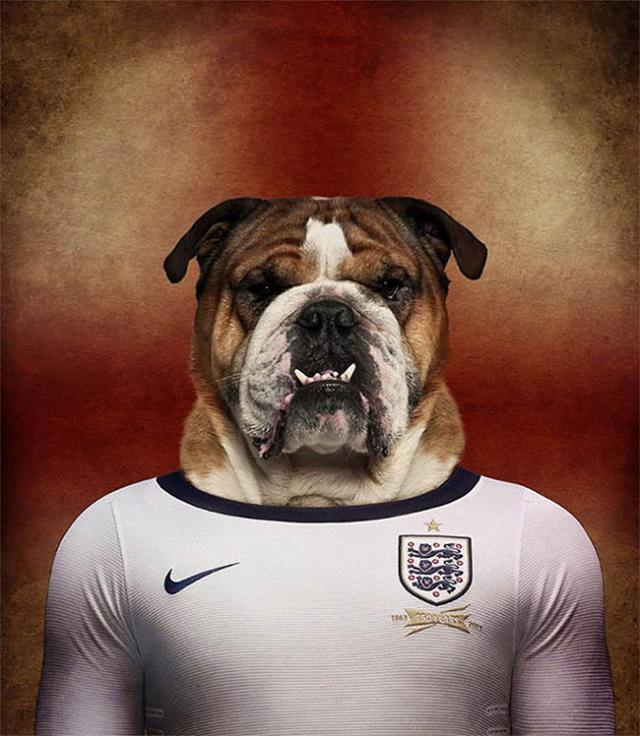 その国の犬に置き換えたポートレート写真