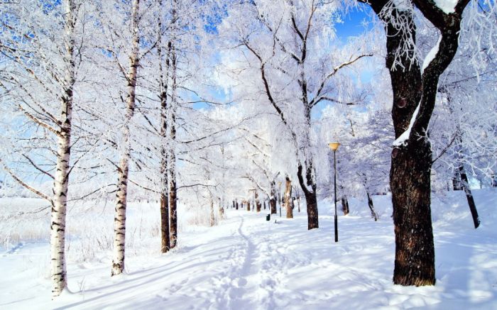 美しい自然の風景写真