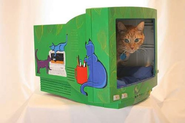 猫のために設計されたインテリアや小物が可愛い写真