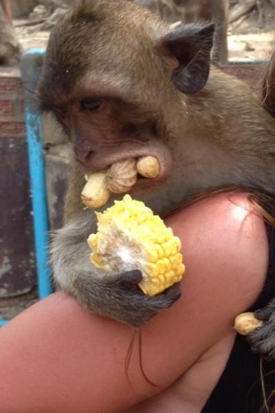 可愛すぎて一緒に笑っちゃう動物たちの写真