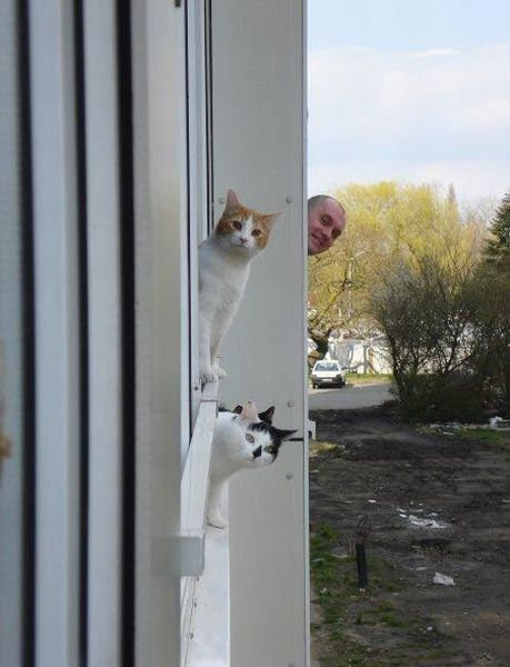 気になってしかたがない動物たちの写真