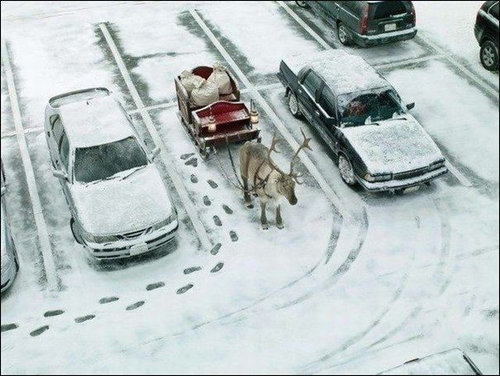 ちょっと笑えるクリスマスの写真