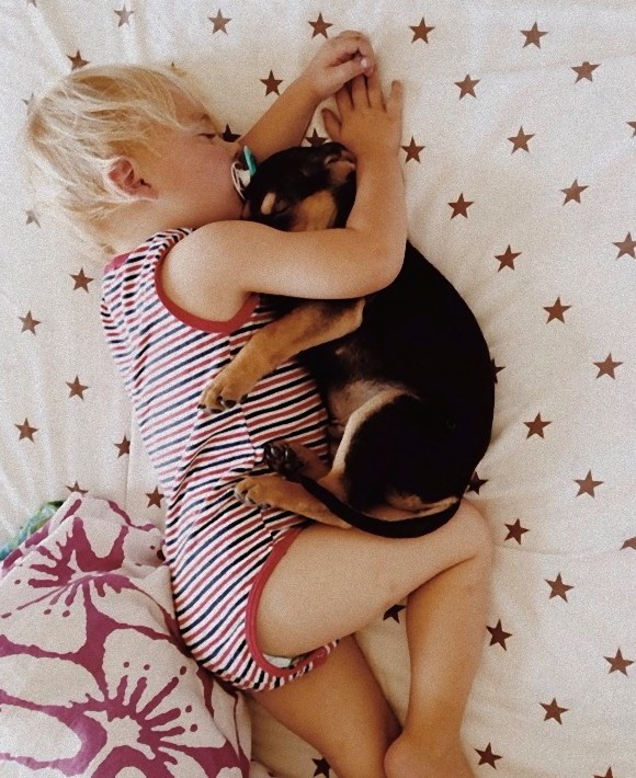 幼い子犬と幼い息子の友情の記録写真