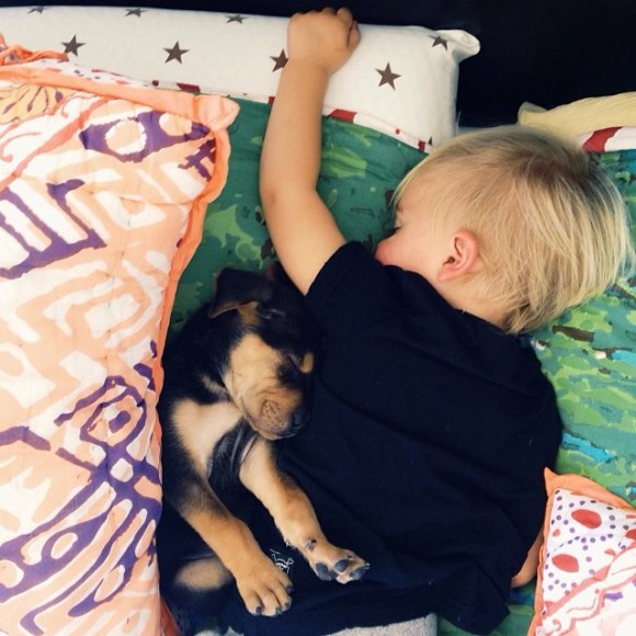 幼い子犬と幼い息子の友情の記録写真