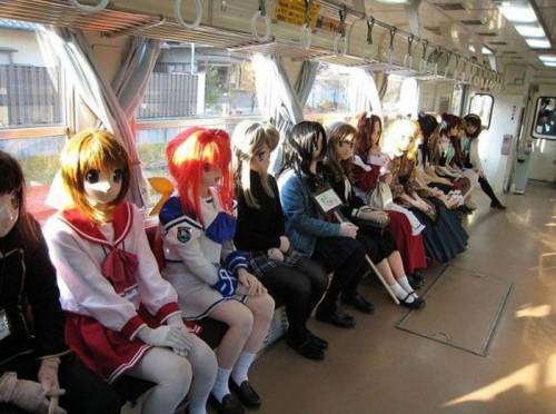 外国人から見た日本の写真