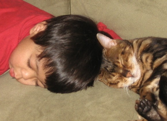 動物と人間の子供が仲良くしている可愛い写真