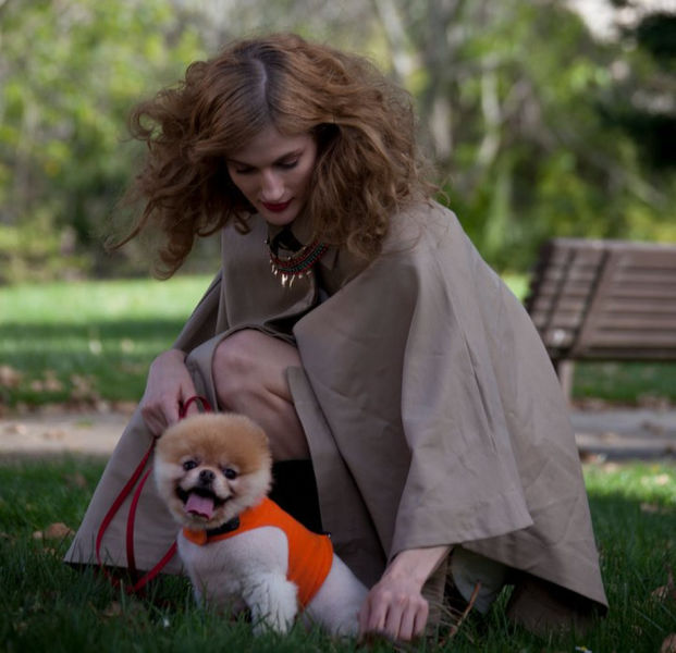 世界一可愛い子犬のBoo