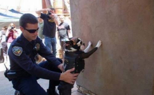 世界の「警察官という仕事」が分かる写真