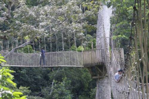 世界にある「吊り橋」