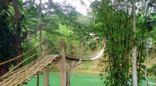 世界にある「吊り橋」