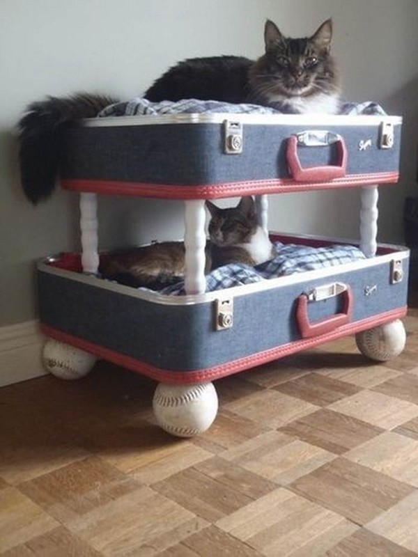 猫のために設計されたインテリアや小物が可愛い写真