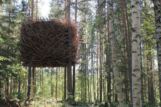 これが男のロマンと思える森の中の建築写真