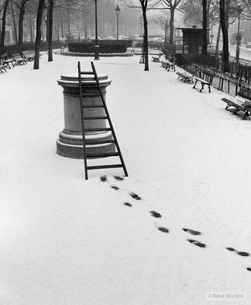フランスの写真家が撮影したユニーク写真