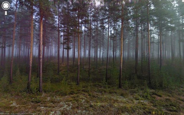 グーグルストリートビューで見かけた珍しい風景の写真