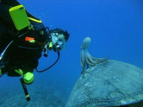 心に響く純粋さを感じられる写真