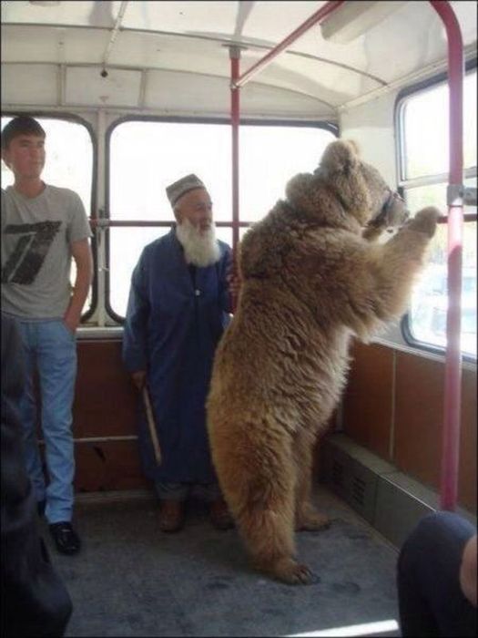 ロシアの面白い画像