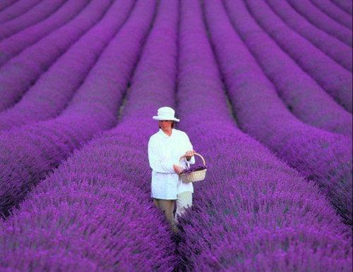 一生に1度は見ておきたい絶景の写真