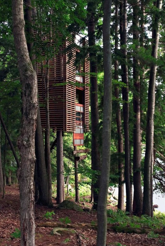 これが男のロマンと思える森の中の建築写真