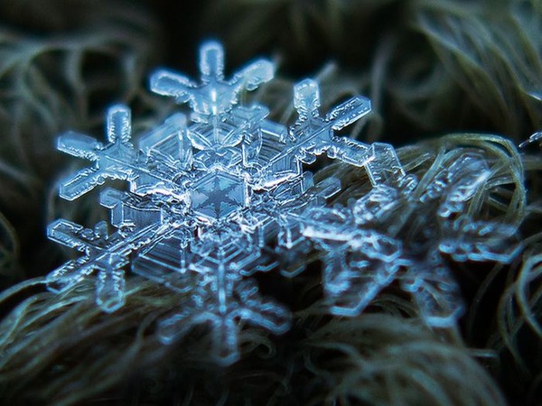 シンプルなDIYカメラキットでとらえた驚くべき雪の結晶