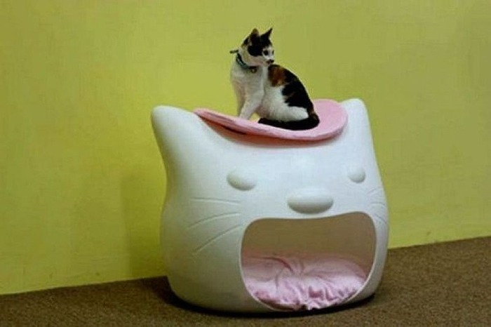 猫のために設計されたインテリアや小物が可愛い写真