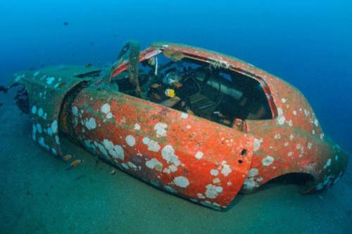 車が海に沈んでしばらくして魚の住まいになった写真