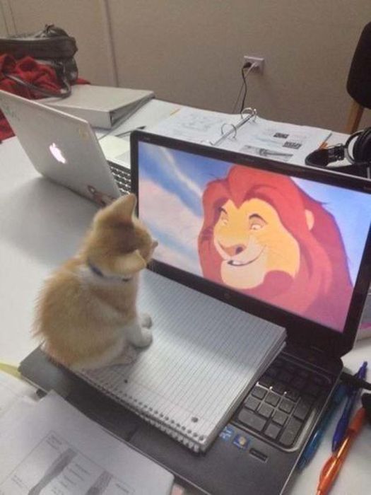 何となくいい感じに見える写真