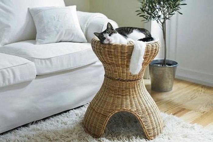 猫のために設計されたインテリアや小物が可愛い写真