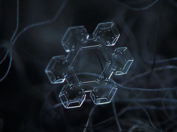 シンプルなDIYカメラキットでとらえた驚くべき雪の結晶