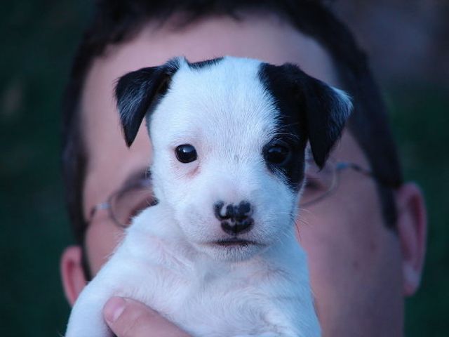 可愛すぎて一緒に笑っちゃう動物たちの写真