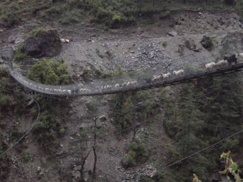 世界にある「吊り橋」