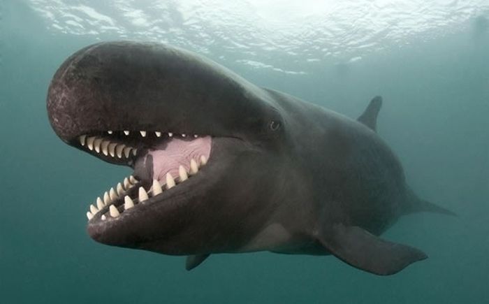 野生の生き物が本当に美しすぎた写真