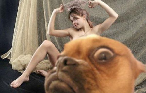 記念撮影好きな動物の写真